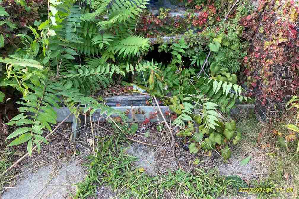 3024889-1_012 (2).jpg